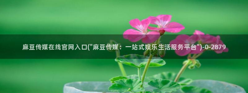 麻豆传媒官网映画:麻豆传媒在线官网入口(\
