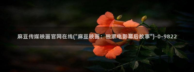 麻豆传媒官网打不开:麻豆传媒映画官网在线(\